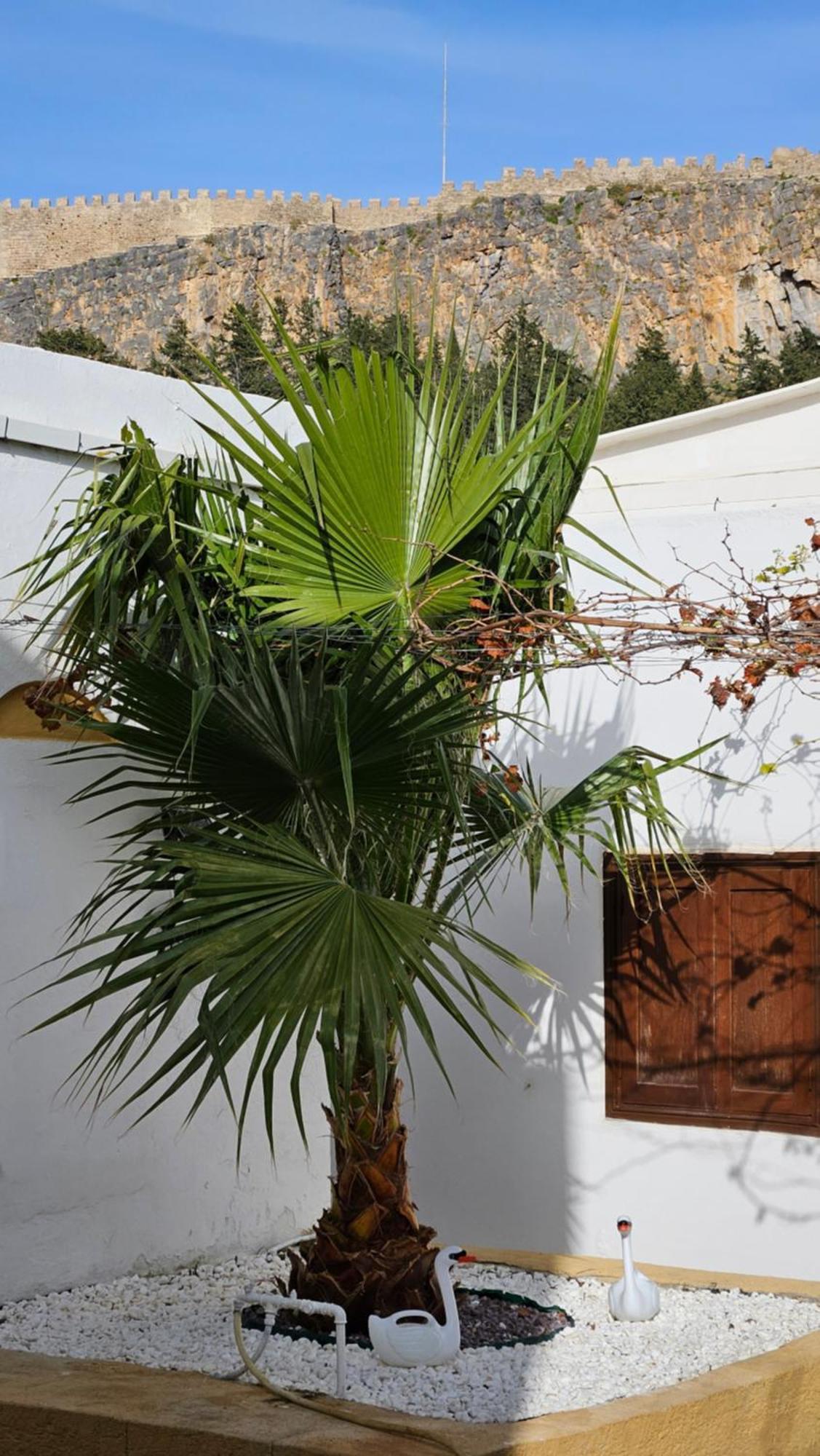 Astoria Holiday home *